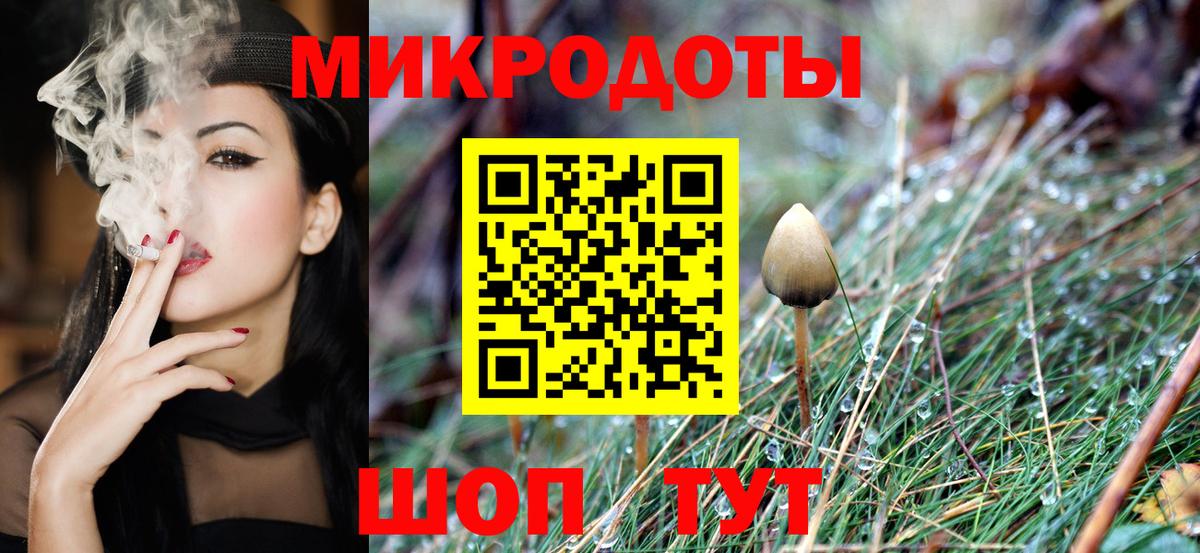 Добрянка  Галлюциногенные грибы Psilocybine cubensis  Вход с VPN 