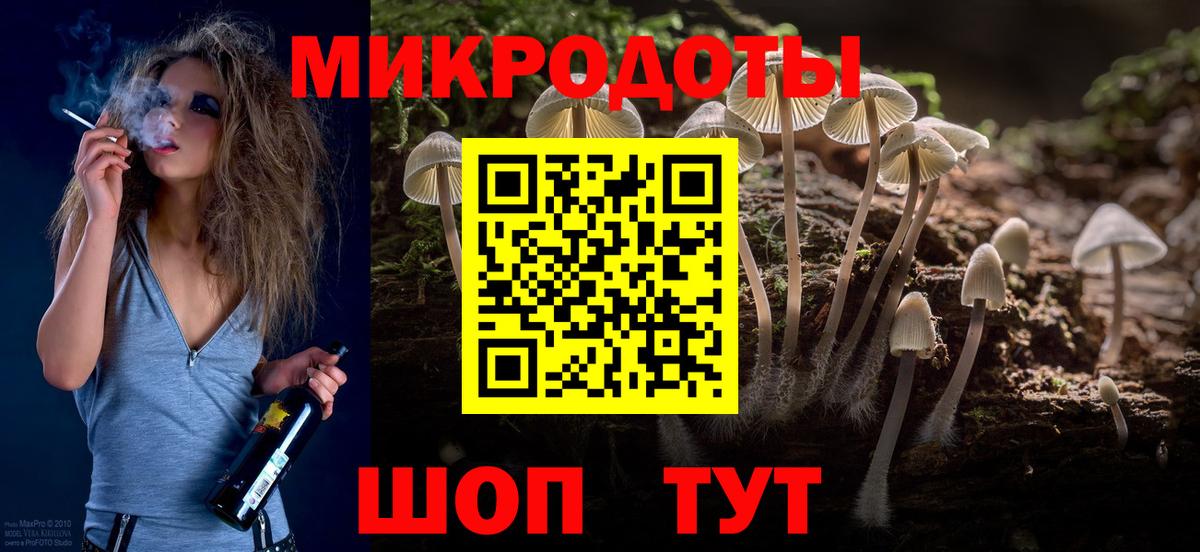Псилоцибиновые грибы Cubensis Добрянка